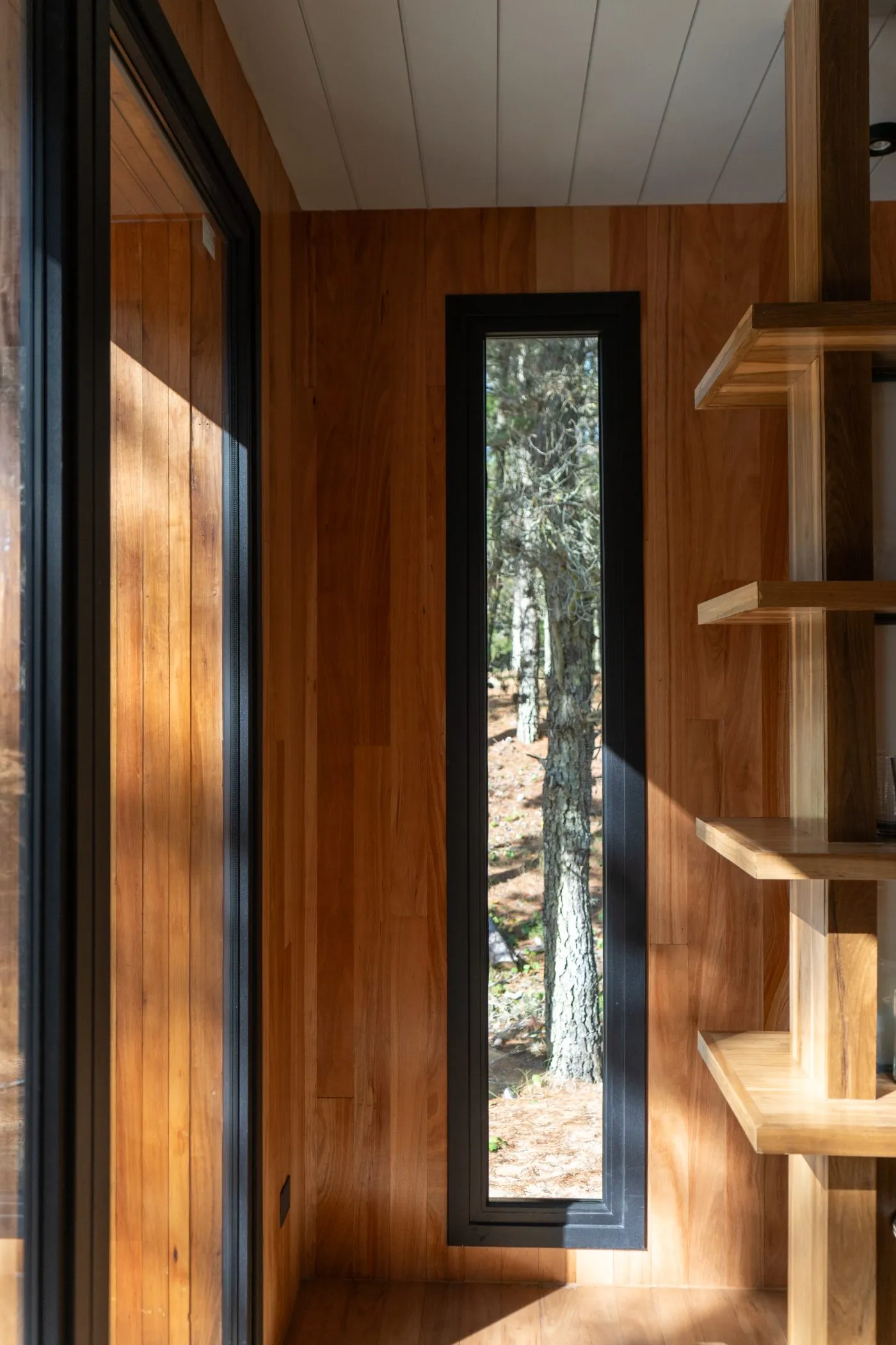 Ventana de aluminio negro con vista al bosque — carpintería de aluminio a medida Tecnalum